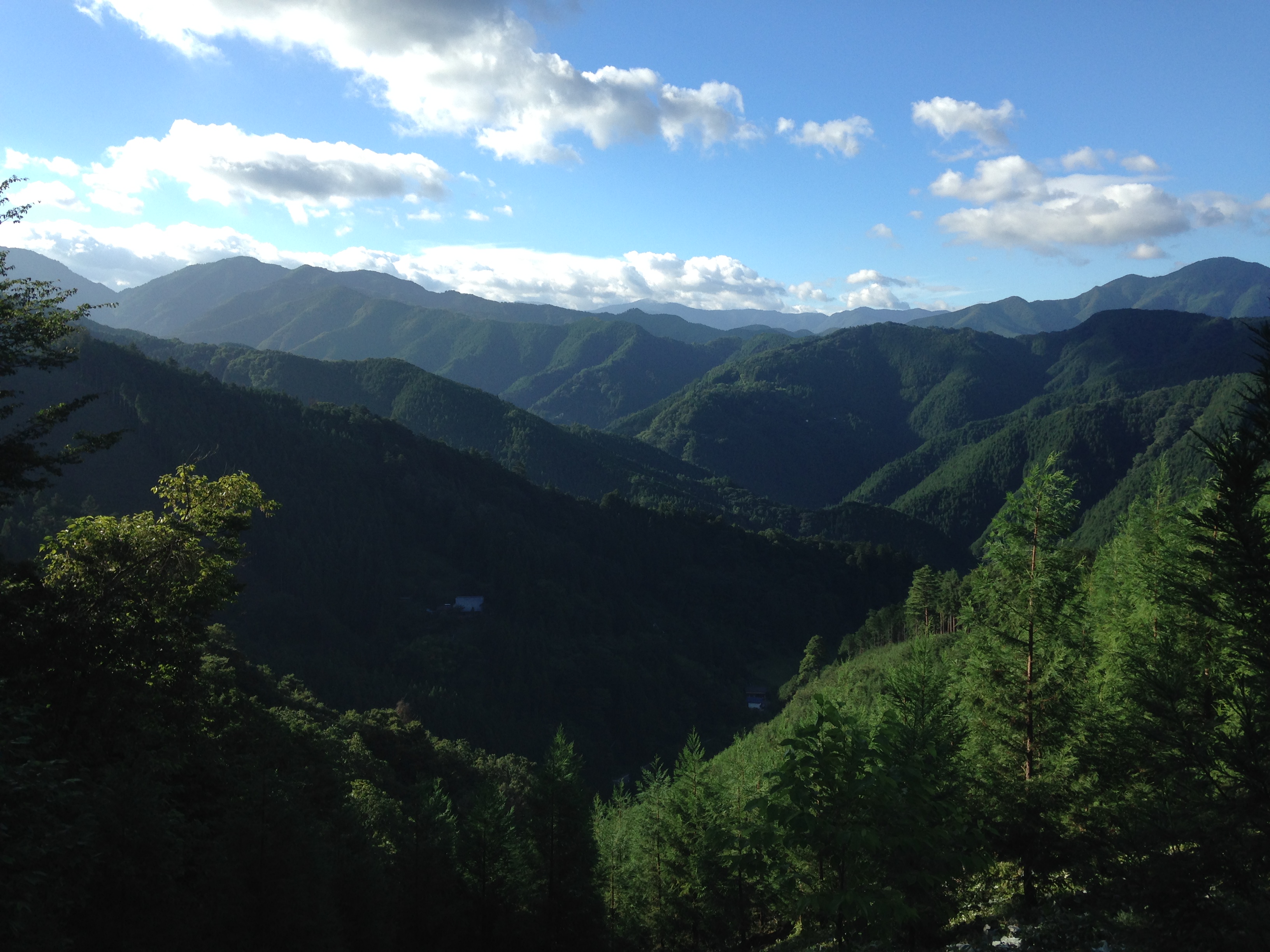 2016夏