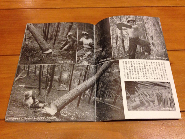買わないわけにはいかなかった「村と森林」