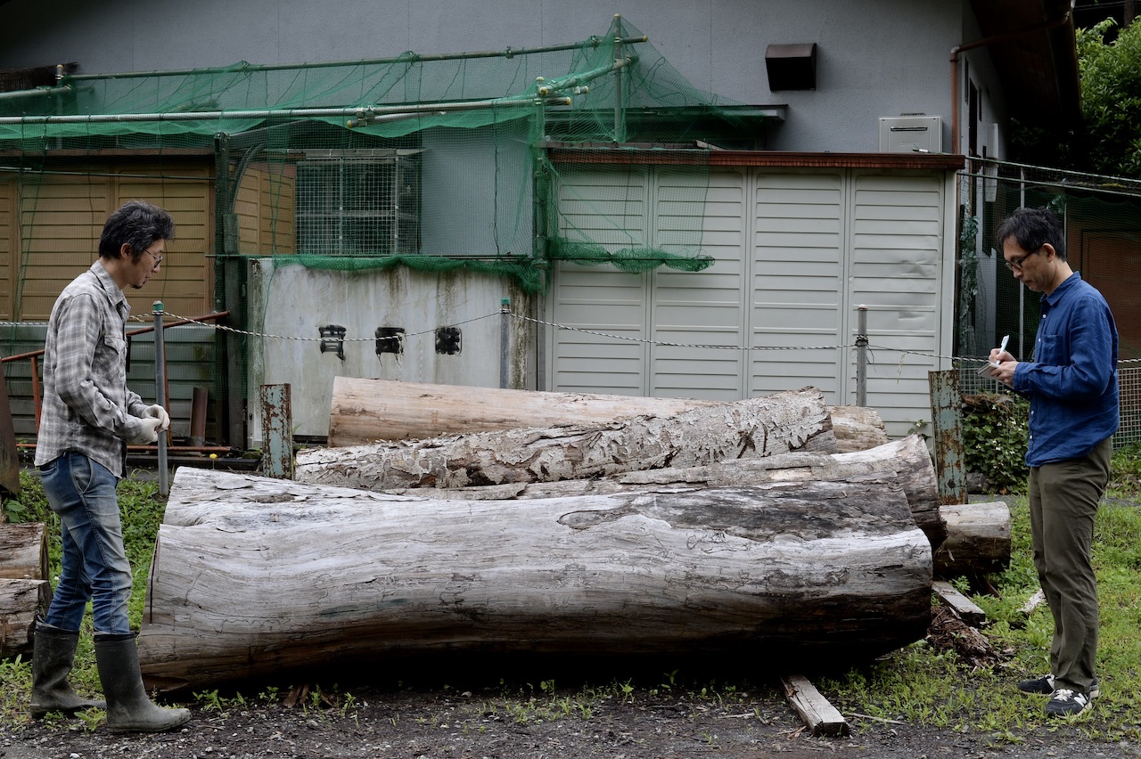 第69回 ”広葉樹の王様”ケヤキの90cm級ドデカ丸太 東京チェンソーズ